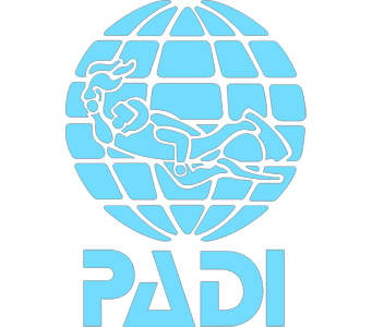 Padi Logo